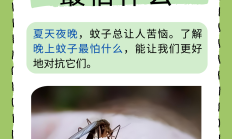 唠“科”话丨为啥蚊子总叮你？“招蚊”跟血型相关？
