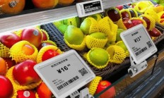 汉朔科技IPO将于2月28日申购：2024年预计收入超43亿元 2位独董与实控人过往有交集