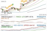 你恐慌我贪婪！3600点上方，机构仍敢大手笔加仓的板块曝光