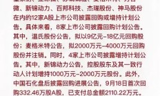 天力锂能发布整改报告 仅余五个月回购完成度未及35%