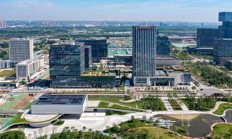 新动力实控人毛凤丽和财务总监王子龙被刑拘