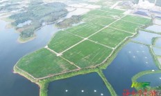 华侨城前三季度净亏损23.5亿元，第三季度无新增土地项目