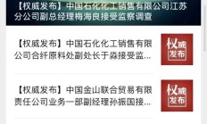 瑞丰高材董秘因涉嫌内幕交易被立案 已在公司任职超16年