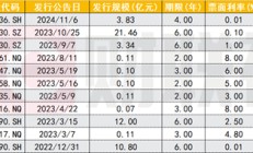 北交所2025年首单定向可转债项目披露