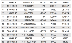 科创50权重占比“超标”，寒武纪等需“瘦身”，基金将陆续被动操作？