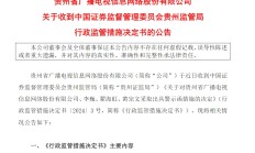 葫芦娃被采取责令改正措施 因2023年年报财务信息披露不准确