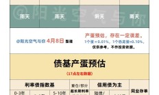 债市波动放大，国债期货价格下跌明显，债券基金如何做好策略调整？