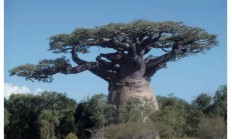 萨摩亚总理点赞双登集团 共筑绿色未来新篇章