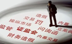 参花实业赴港IPO：被证监会要求说明与关联方之间交易定价公允性
