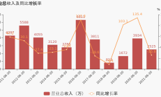 小崧股份业绩盈转亏被警示 2021定增募5.7亿破增发价