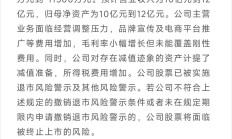 泰鸿万立IPO注册申请获同意：资金捉襟见肘仍高比例分红 被质疑“骗贷”“粉饰业绩”