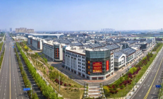 双提升，上市公司在行动丨神农集团发布“提质增效重回报”行动方案：“四化”推动生猪养殖行业提质增效