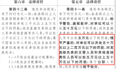 财务造假综合惩防新格局加快形成