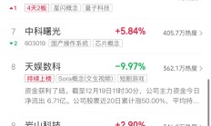 【美股盘前】三大期指涨跌不一，半导体股多数上涨；马斯克：Grok 2测试版即将上线；前大摩全球策略师预言：美股明年恐暴跌20%