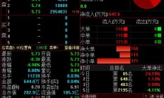 *ST园城及董事长牟赛英均被证监会立案