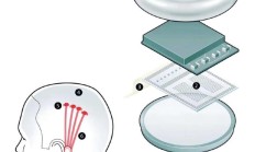 走和马斯克不同的路 国产脑机接口是如何实现“意念”控制机械臂的