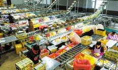 第14个双11“对抗熵增”：GMV和旧光环消失，“留年”待客向实而“升”