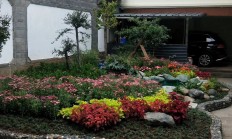 星耀科创板：从一块试验田到满园繁花