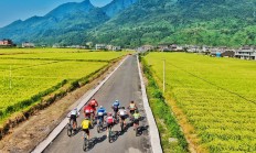 骑行经济火热 小车轮撬动“大市场”