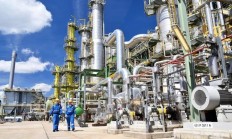 多家公司全年业绩预喜 机构研判景气投资或逐步回归