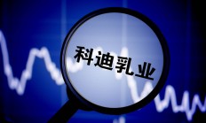 ST九芝新董事长花落黑龙江国资 公司控制权变更与否引热议