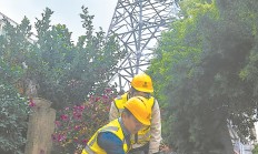 经济日报：叫停上市奖励是时候了