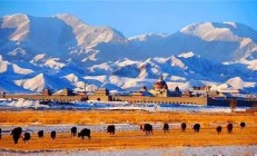 中秋、国庆“双节”将至 消费类上市公司积极布局