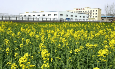 武汉农商银行原党委书记、董事长徐小建严重违纪违法被“双开”