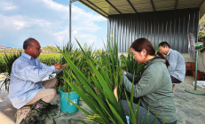 两融余额量质齐升释放积极信号
