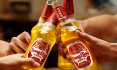 重啤股份上半年营收88.61亿元 京A啤酒试水加盟模式