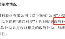 瑞和股份财务会计核算、信披等多方面存在问题 董事长李介平解除留置后再遭警示