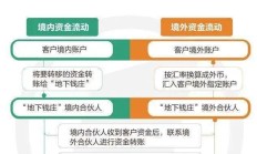 睿昂基因跌停：实控人姐弟及两名副总涉嫌非法经营被公安机关采取措施