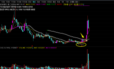 大全能源股价创历史新低 董事长承诺未来6个月内不减持