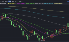 港股低开 美团跌近10%