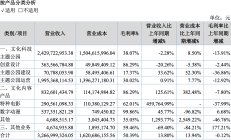 亿帆医药上半年营收净利双增：毛利率下滑 近10亿元非流动负债一年内到期