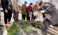 广期所“助绿向新”产业培育专项方案扩容