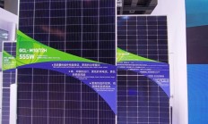 信托业期中成绩单：头部公司表现亮眼 行业发展分化