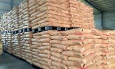 上期综合业务平台上线燃料油品种保税标准仓单交易及丁二烯橡胶品种标准仓单交易