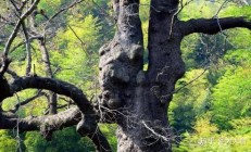 “科八条”下已现百单并购 上市公司发力全链条整合