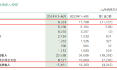 药明康德上半年营收净利双降 在手订单431亿元