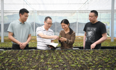 中期协发布《2024年自律管理工作报告》：全方位护航期货市场高质量发展