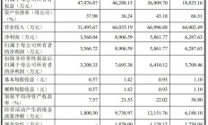 山大电力创业板IPO“过会”