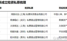 新华保险积极参与长期资金入市试点改革 鸿鹄基金三期计划累计出资462.5亿元 　　