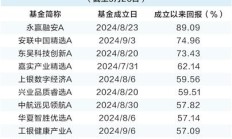 平均收益超30% + 翻倍基扎堆！2025年主动基金大爆发，冠军基金经理揭秘翻倍密码