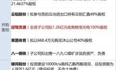 瀚蓝环境延期回复上交所问询函 私有化粤丰环保是否具有支付能力成焦点