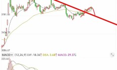 A股画风突变，但仍有逾20只基金单日涨超4%
