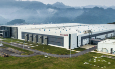 控股股东增持 农夫山泉大涨