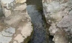 研发“活水”源源不断 上市公司向“新”而行