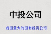 国资国企改革再添新案例 国投中鲁拟收购控股股东旗下资产