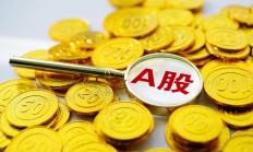 基金投顾6月月报丨海外投顾组合密集发行，华宝证券、国联证券旗下产品上半年业绩领跑